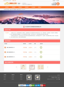 阿里車主網(wǎng) 用戶體驗(yàn)驅(qū)動(dòng)的網(wǎng)頁(yè)與網(wǎng)站設(shè)計(jì)策略